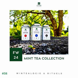 Cadeaux d'Affaires | Maison NANA1807 | La Maison du Thé à la Menthe BIO