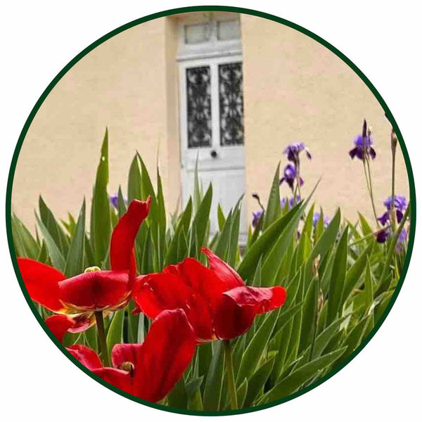 Visite des Ateliers de la Maison NANA1807