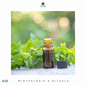 2024 - Huiles Essentiels BIO MOUIMA | Maison NANA1807 - Maison du Thé à la Menthe BIO