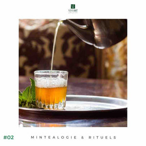 La Mintéalogie de la Maison NANA1807 - la maison de thé à la menthe en Berry