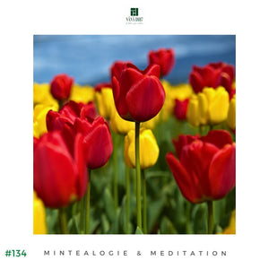 2024 - Maison NANA1807 @ Amsterdam | Maison NANA1807 | La Maison du Thé à la Menthe BIO