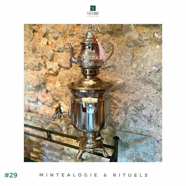 Découvrez l'Art du Thé à la Menthe chez La Maison NANA1807 | La Maison du Thé à la Menthe BIO