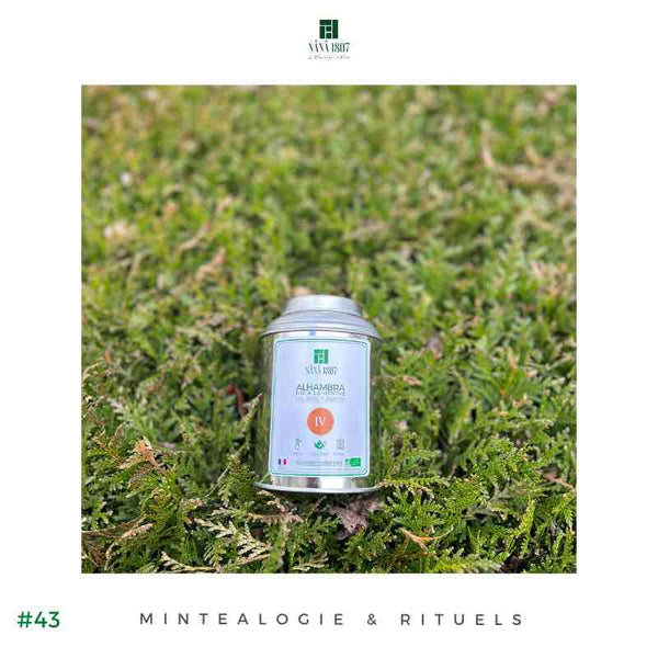 2025 - ALHAMBRA - Thé à la Menthe Parfumée | Maison NANA1807 | La Maison du Thé à la Menthe BIO