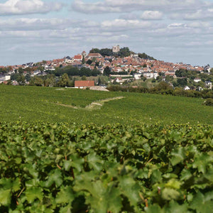 Mintéalogie à Sancerre | Le Thé à la Menthe en Dialogue avec les Terroirs | Maison NANA1807 | La Maison du Thé à la Menthe BIO