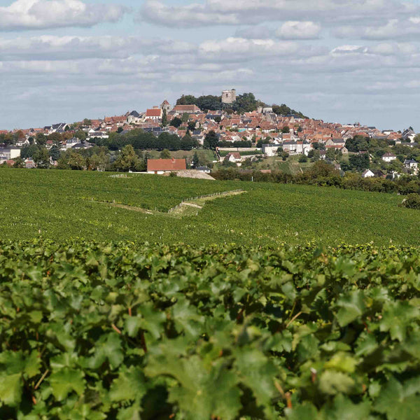 Mintéalogie à Sancerre | Le Thé à la Menthe en Dialogue avec les Terroirs | Maison NANA1807 | La Maison du Thé à la Menthe BIO