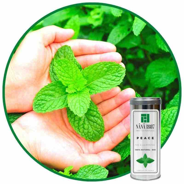 Maison NANA1807 - MINT TEA FOR PEACE - UN Thé à la menthe pour la Paix