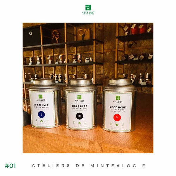 Mintéalogie - Art et Science du Thé à la Menthe par la Maison NANA1807