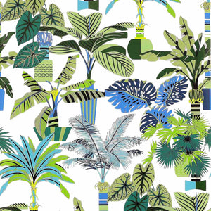 Prestation Mintéalogie Pour Tous | Maison NANA1807 | La Maison du Thé à la Menthe BIO