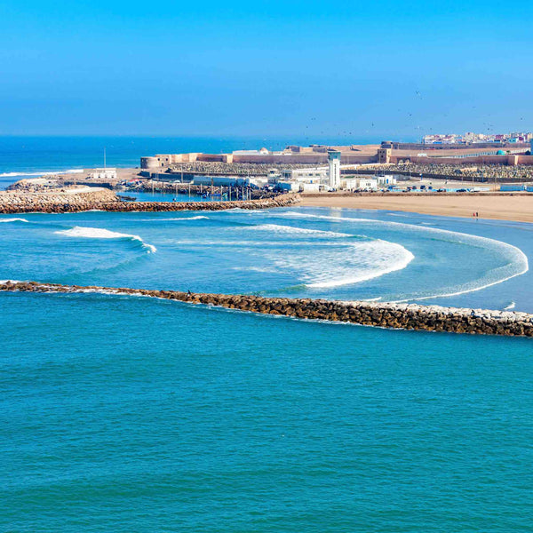 Mintéalogie pour Tous | L’Art du Thé à la Menthe | Maison NANA1807 | La Maison du Thé à la Menthe BIO