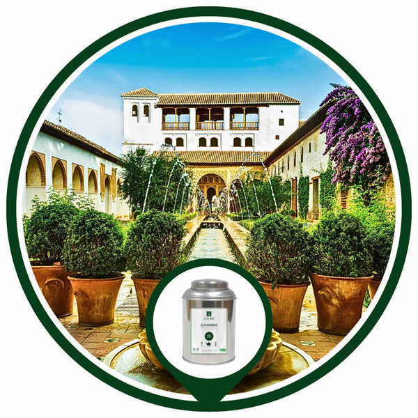 ALHAMBRA | Thé Vert BIO à la Menthe & Agrumes | Maison NANA1807