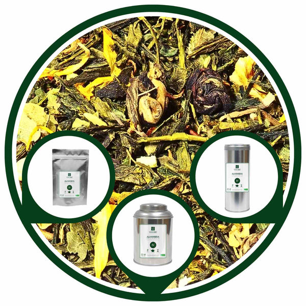 ALHAMBRA | Thé Vert BIO à la Menthe & Agrumes | Maison NANA1807