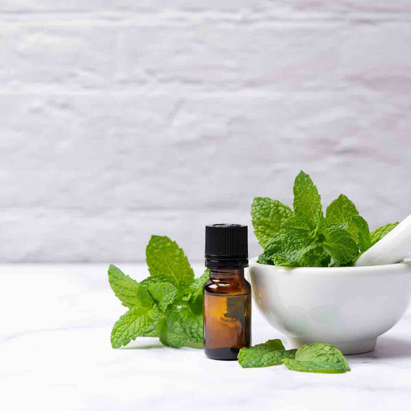 Organic Essential Oil | Peppermint