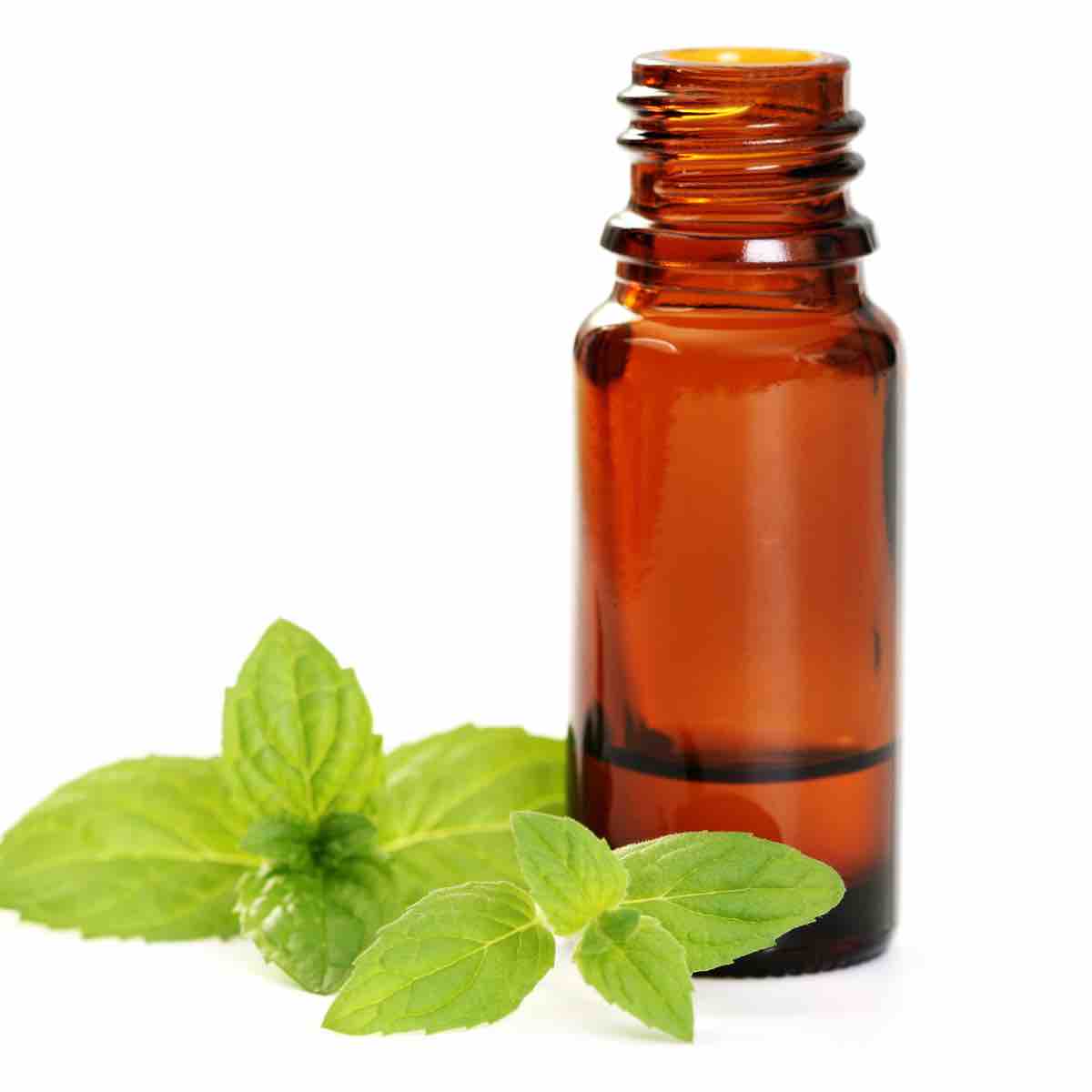 Huile Essentielle De Menthe Verte (Nana) - Mentha Spicata - 100 Ml - Oshadhi - Neuf