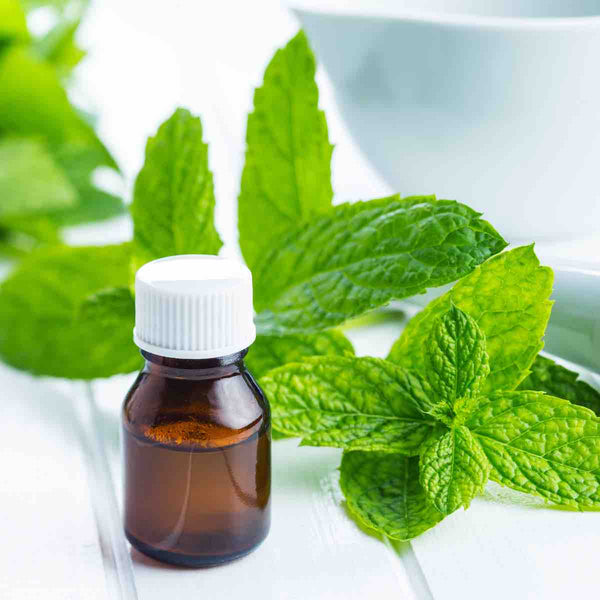 Organic Essential Oil | Peppermint
