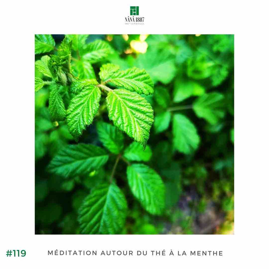 Maison NANA1807 - Seekers of Very-Mint Tea