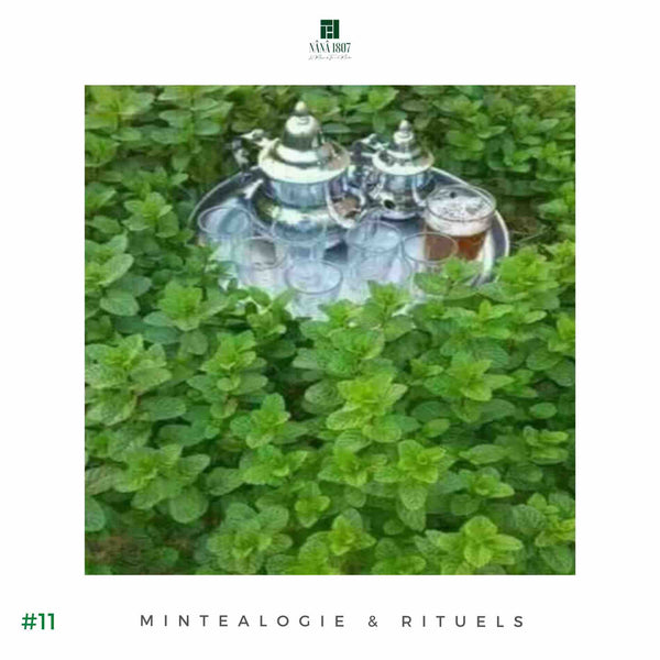La Recette du Véritable Thé à la Menthe Marocain | Maison NANA1807 | La Maison du Thé à la Menthe BIO 