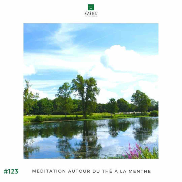 Maison NANA1807 - Silence autour du Thé à la Menthe