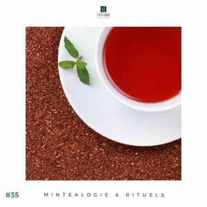 Rooibos à la Menthe BIO – Format Détox | Maison NANA1807 | La Maison du Thé à la Menthe BIO