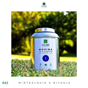 #22 -  Thé à la Menthe BIO Maison NANA1807 - Maison du Thé à la Menthe BIO