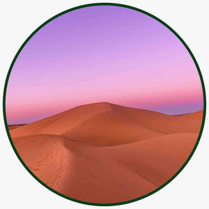 50 ans de la Glorieuse Marche Verte | Maison NANA1807 | La Maison du Thé à la Menthe BIO