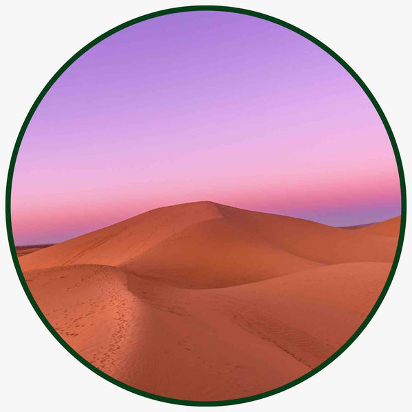 50 ans de la Glorieuse Marche Verte | Maison NANA1807 | La Maison du Thé à la Menthe BIO