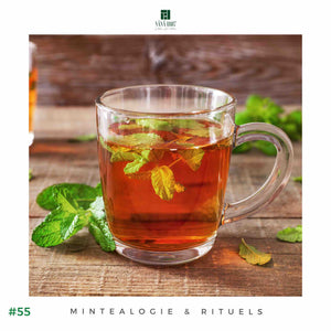 Les Bienfaits du Thé à la Menthe | Maison NANA1807 | La Maison du Thé à la Menthe BIO 