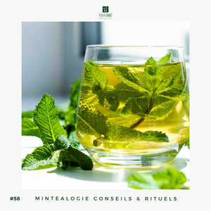 Conseil d'été | Thé Glacé ou Thé Chaud ? | Maison NANA1807 | La Maison du Thé à la Menthe BIO