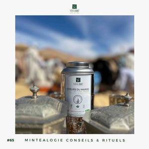 Thé à la Menthe Marocain | Avec ou Sans Sucre | Maison NANA1807 | La Maison du Thé à la Menthe BIO