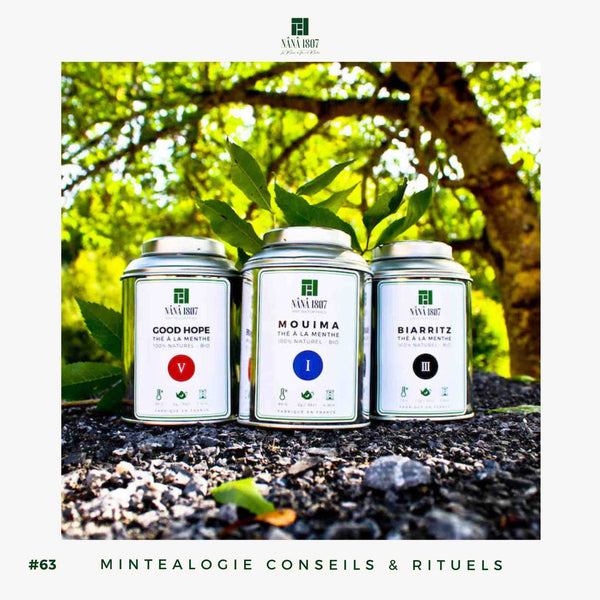Art du Thé en Vrac BIO | Maison NANA1807 - La Maison du Thé à la Menthe BIO