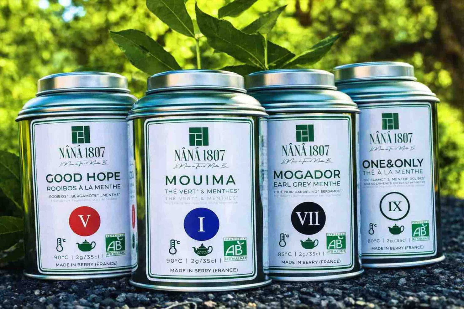 Thé à la Menthe BIO | Thés Marocains BIO | Maison NANA1807