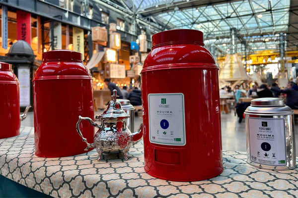 2026 - Maison NANA1807 | Best Organic Mint Tea Brand | FRANCE 2025