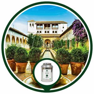 ALHAMBRA | Thé Vert BIO à la Menthe & Agrumes | Maison NANA1807