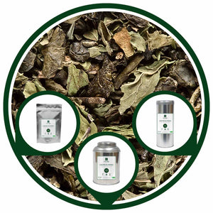 COEURS DU MAROC | Thé Vert BIO à la Menthe Marocain | Maison NANA1807