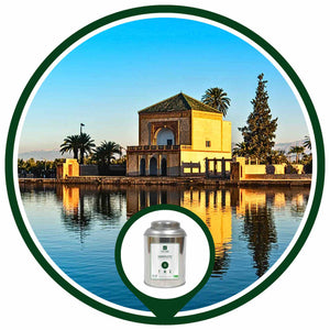GREEN CITY | Thé Vert BIO à la Menthe Marocain | Maison NANA1807