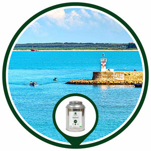 MAZAGAN | Earl Grey Thé Vert BIO à la Menthe & Agrumes | Maison NANA1807