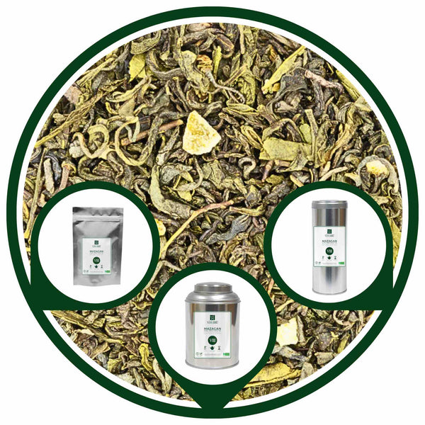 MAZAGAN | Earl Grey Thé Vert BIO à la Menthe & Agrumes | Maison NANA1807